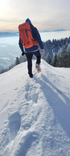 Ortovox - Peak 35 - Sac à Dos De Montagne 9 Ortovox - Peak 35 - Sac à Dos De Montagne -Magasin De Camping En Plein Air ortovox peak 35 tourenrucksack 479eeaaef0ad34f8d4b20e458b7c94a1 1